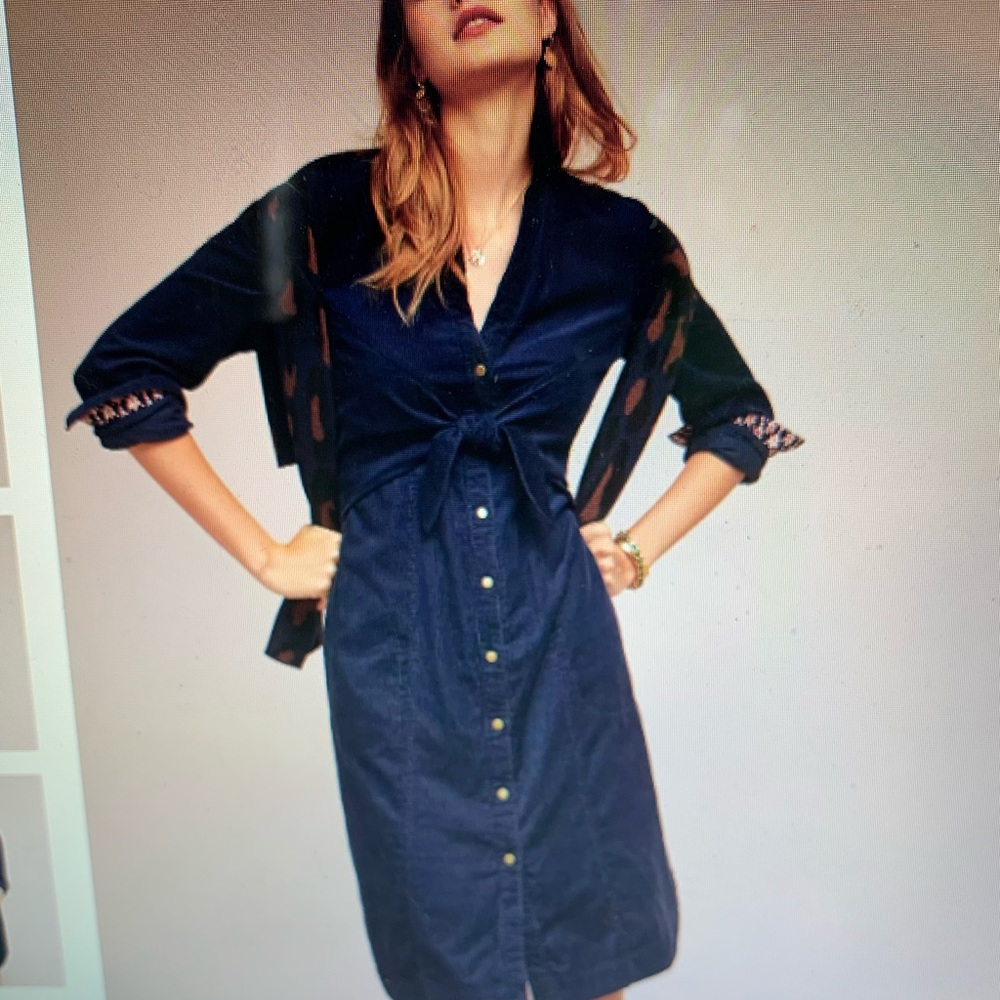 Anthropology Winchester Shirtdress